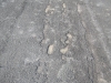 dscn0408