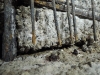 dscn0637